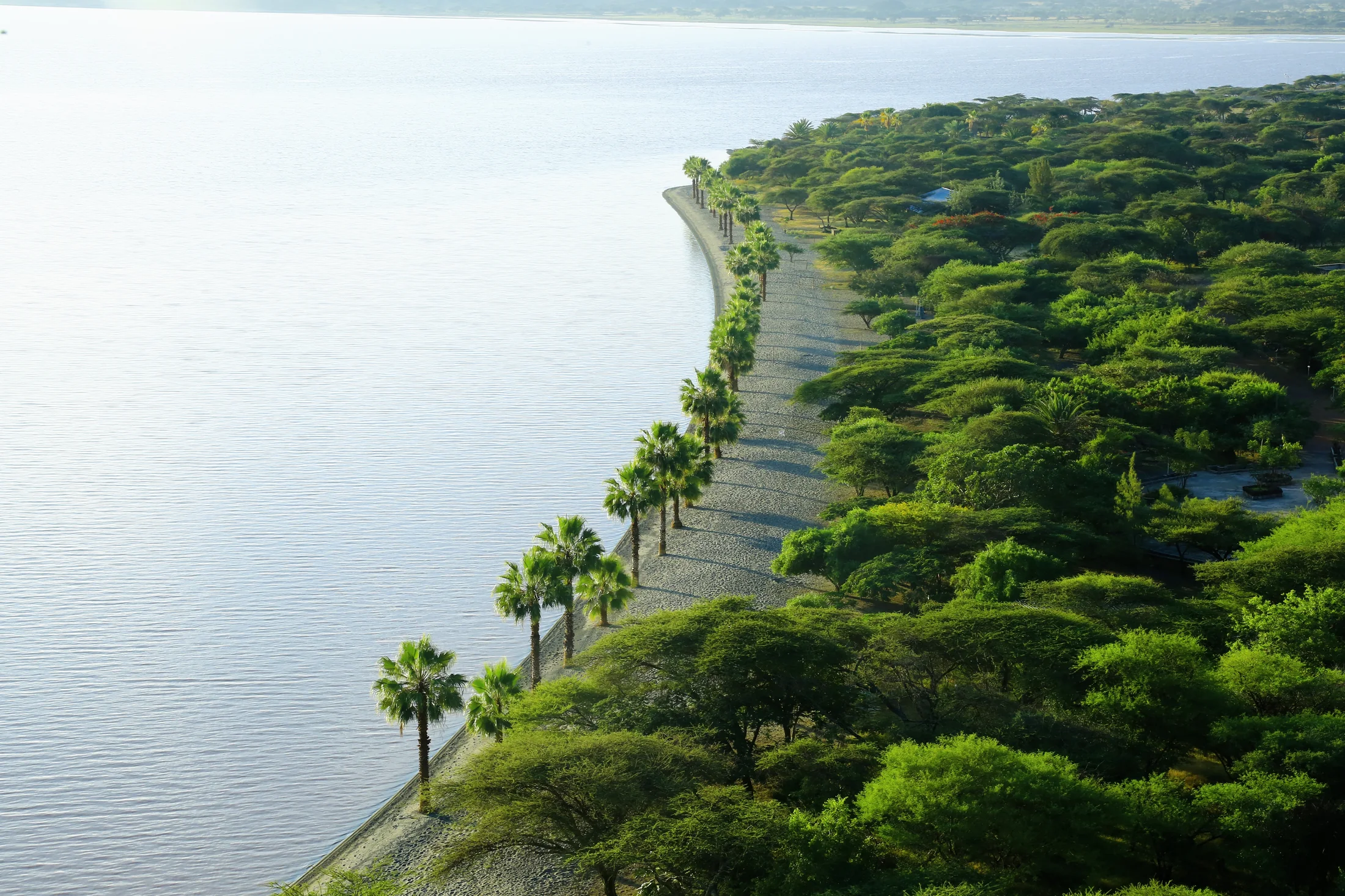 A calm lake in Ethiopia's Rift Valley
